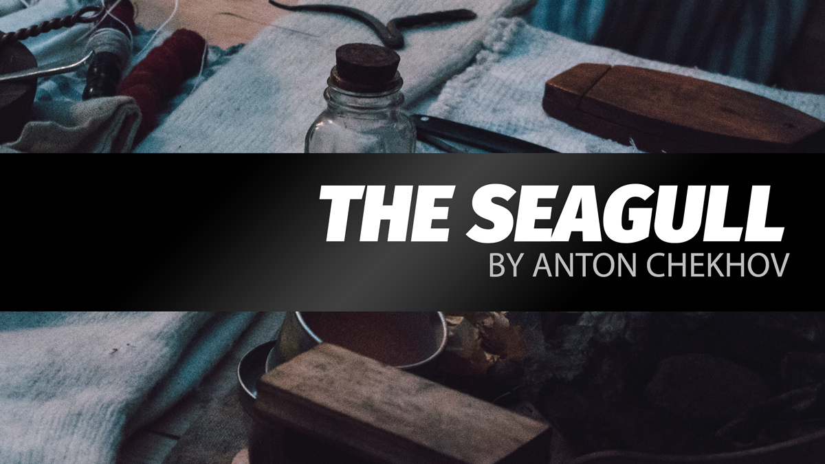 The Seagull by Anton Chekhov – Zoomlet
