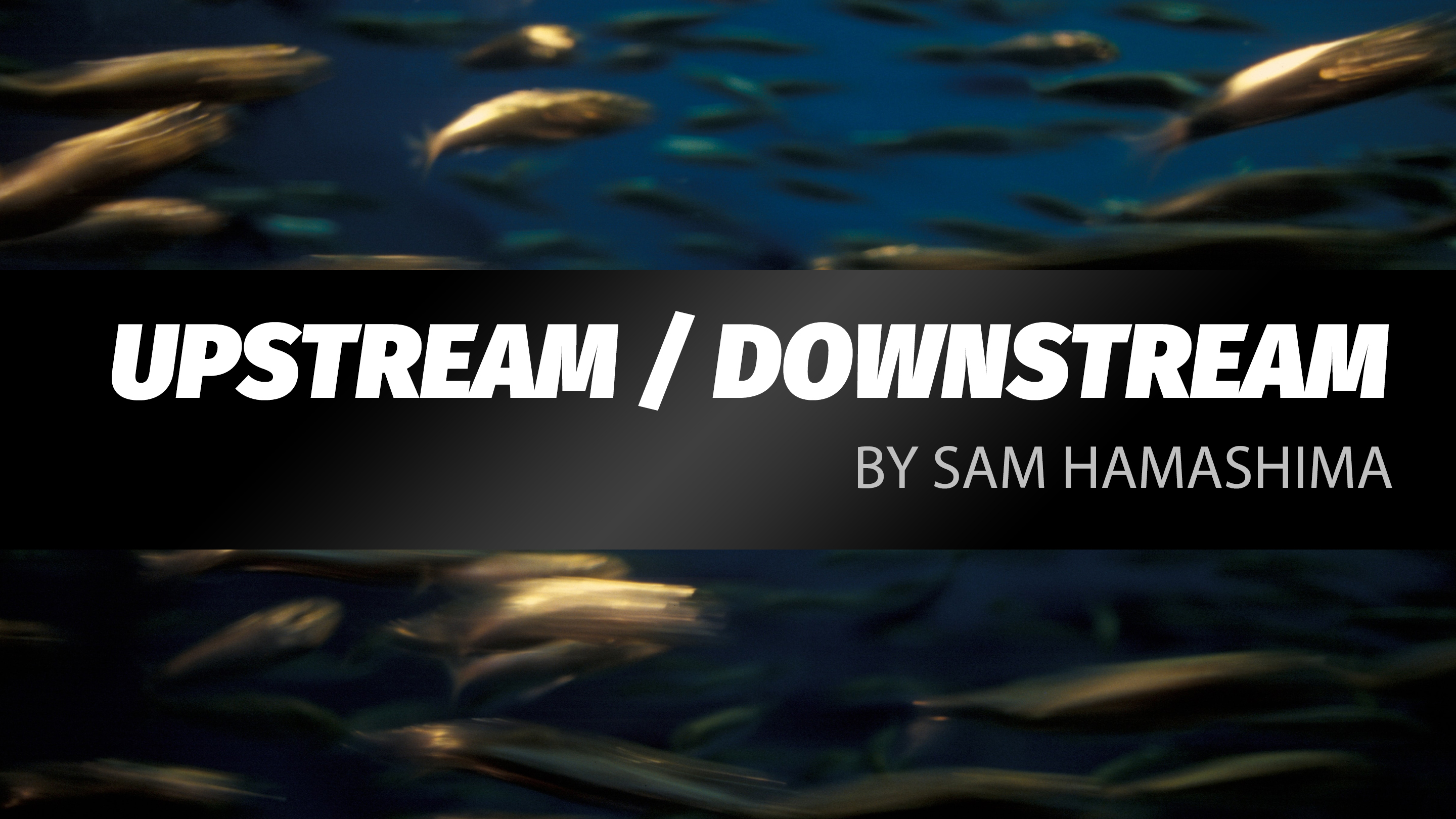 UPSTREAM / DOWNSTREAM by Sam Hamashima – Zoomlet