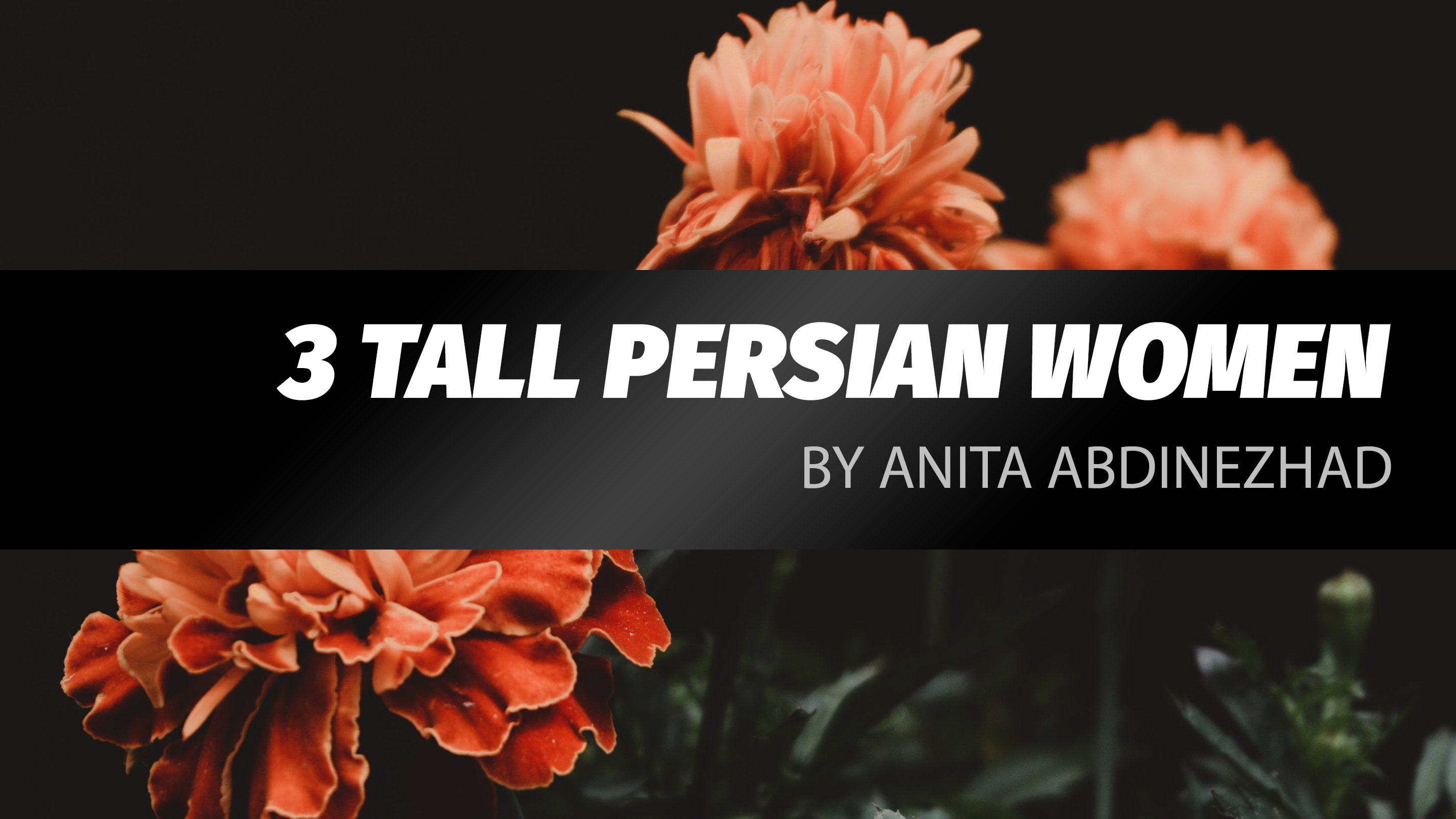 3 Tall Persian Women by Anita Abdinezhad – Zoomlet