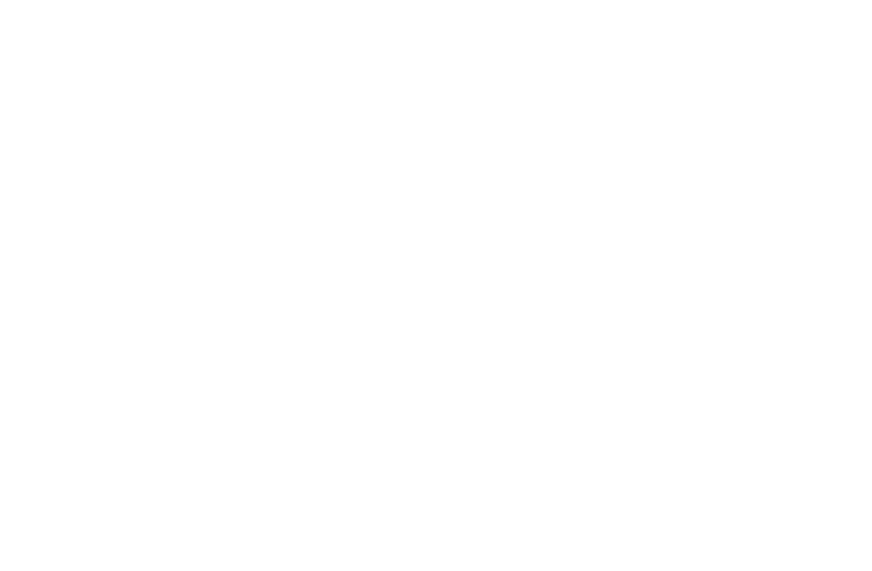 Flex title