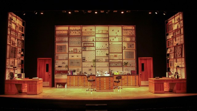 Betty and Jeff's office in the American Museum of Natural History.