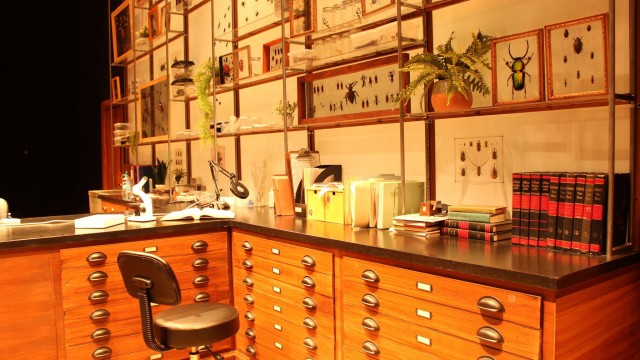 The office is equipped with working specimen drawers, complete with (artificial) insects.