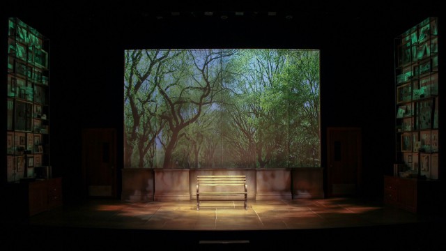 Theodore Hulsker's projection of Central Park frames a weathered park bench. If you look closely, you may even spot some fake bird poop!