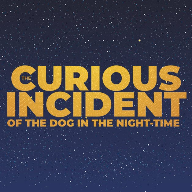 The Curious Incident of the Dog in the Night-Time